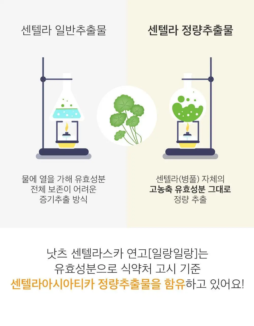 [아랑 PICK] 낫츠 센텔라스카 연고 일랑일랑 15g 상세페이지 9